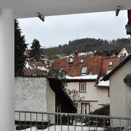 Διαμέρισμα Apartmenthaus Am Zimmerplatz